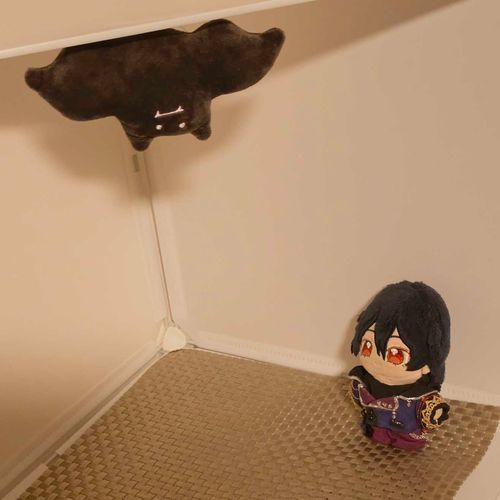 コウモリじゃよ🦇