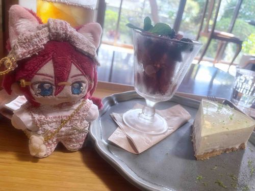 飽きないですね〜