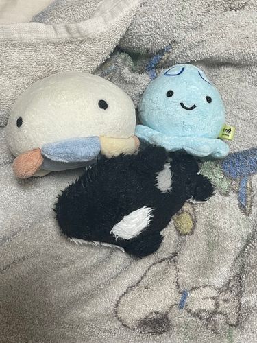 いぶねぇとアリスといっしょに
おふろはいった‼️‼️さっぱり‼️‼️

…きもちよかった

あーさっぱりした！
アベルは入れないね、お腹
砂だもん
