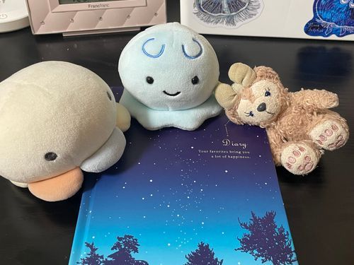 ルナ＜あるじ、にっきかくんだって

アリス＜のーとかわいい

シェリーメイ＜呼び名を考えてくれるんですって。楽しみね。うふふ。