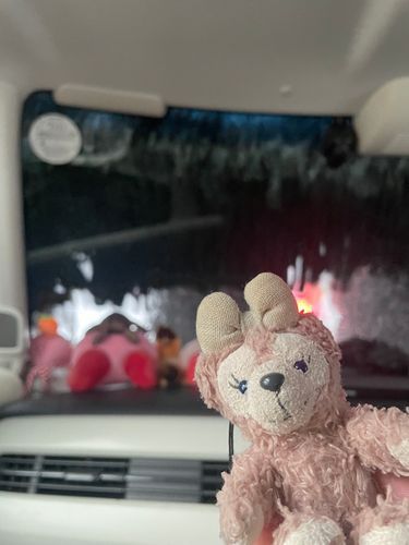 昨日洗車もしてきたの。
翌日海にいくことになったけどね