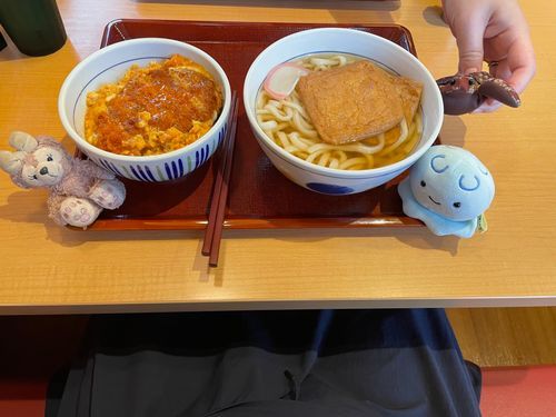 🪼おいし‼️‼️‼️でっけ‼️‼️‼️
ちゃいろの四角いのしみしみで
んまんま‼️‼️‼️‼️

🧸うふふ、ルナは相変わらず元気ね。
お揚げさんって言うのよ。

𓆉‎✌🏻ᴖ ̫ᴖ

