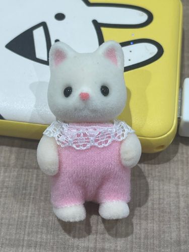 シルバニアファミリーの
シルクネコの赤ちゃん、
るーくです。
よろしくおねがいします