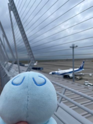 あれが飛ぶんだよね‼️
すごいね‼️ひこーき‼️