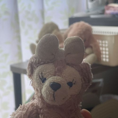いずれまた家族を紹介するわね
𝙲𝚘𝚖𝚒𝚗𝚐 𝚜𝚘𝚘𝚗...