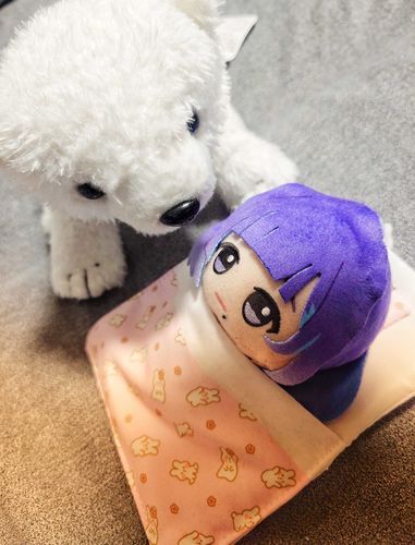 美鈴ちゃんずっと寝てるなぁ