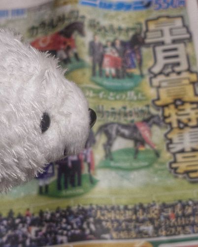皐月賞かぁ〜
今年は白い子走る？まだ白い子は居ない？そう…