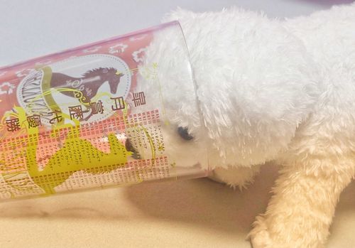 来年のこういうコップにロブチェンって子の名前が書かれることが決まったんだって！凄いね！

家主はリアライズシリウスって子の応援していたみたいでカエルふみつぶしたような声だしてたよ〜