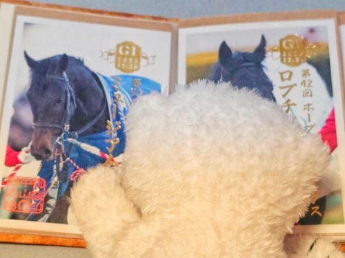 今日届いたんだって〜
ロブチェン…ミュージアムマイル…
ウマがたくさんだねぇ〜