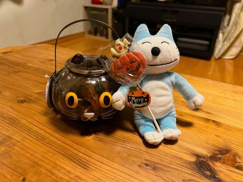 Happy Halloween！
お友達にねこ顔ジャックランタンのお菓子を貰ったよ〜🎃