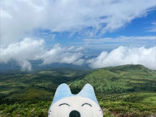 ねこの住む街の中心街にクマが出たよ〜


数年前からクマの出没情報が増えたからソロトレッキングのねこは山登りを控えてたんだけど、人も車も多い街中にクマが出るならどこでも遭遇率同じだしもう山に登ってもいいんじゃない？って思ったよ〜
写真は数年前の八甲田山だよ〜