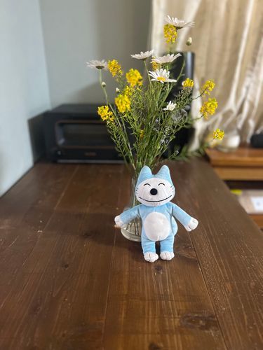 野草を摘んできたよ〜