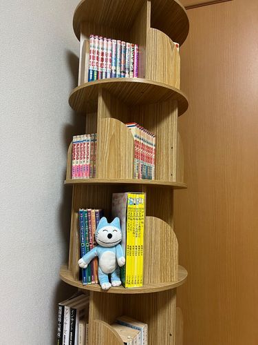 読書のお部屋の本棚だよ〜


ねこは24年組が大好きで紙の本を集めてるんだよ〜❣️