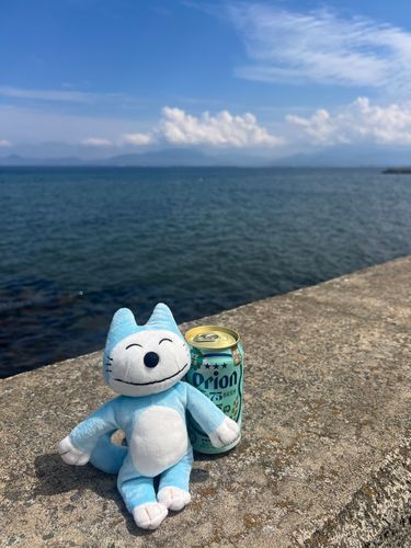陸奥湾とオリオンビールとねこだよ〜