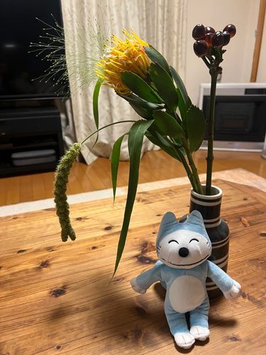 十五夜っぽい組み合わせでお花を買ってきたよ〜