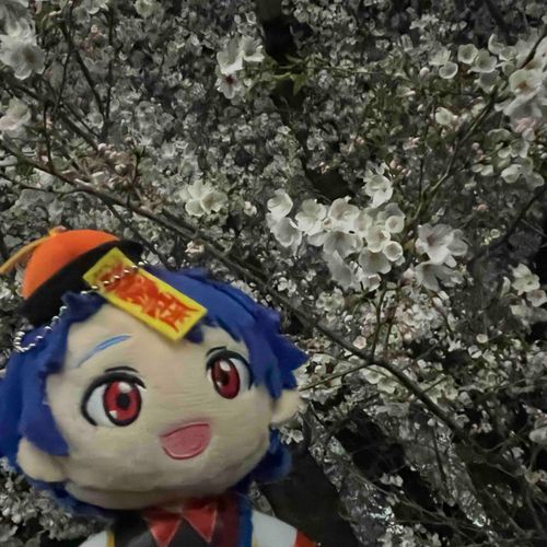 🌸