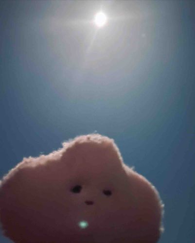 中秋の名ちんくり🌕