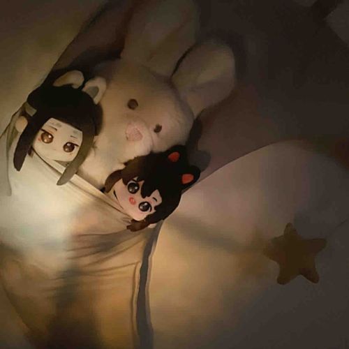 うさちゃんᙏ̤̫⑅*