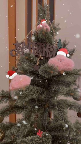 チンくりサンターズ(っ'-')╮ 🎁