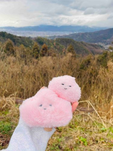 キャンプ来たよ🏕