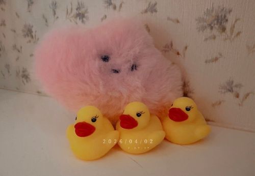 赤ちゃん(?)うまれた(　'๑'　)
