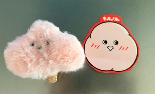 きょ、きょうだい、、、?