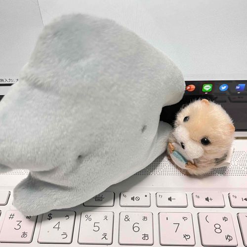 「そつろん」が まずいんだって
おいしい「そつろん」たべてみたいね