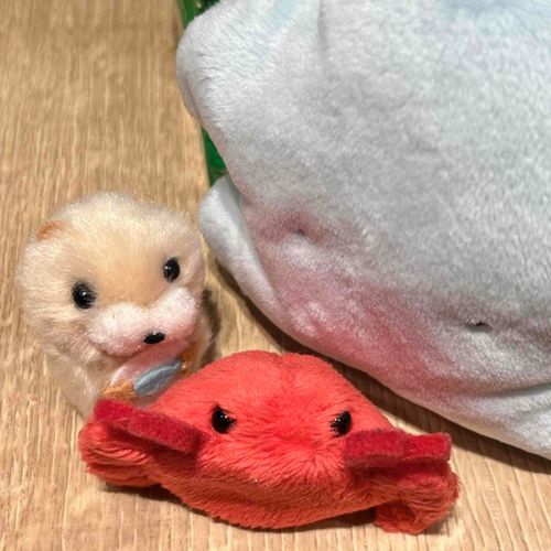おこってる……