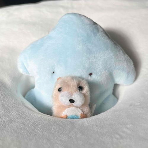 ここ あたたかくて
ふるさとのうみを おもいだすの