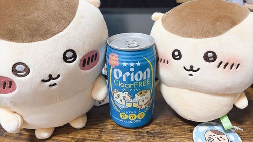 飲みます
アルコール入ってなくて悲しい