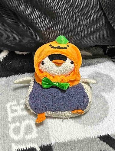 もすぐハロインってやつ？