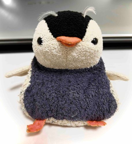 イワトビペンギンのコスプレ