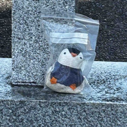 お外がぽかぽかしてたからお散歩連れててもらた