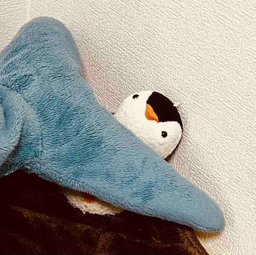 サメのしっぽで溺れるおいら