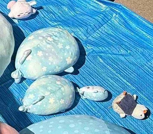 日光浴にきました
