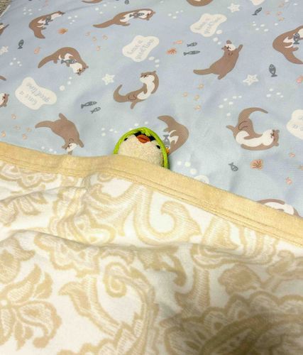 さぶい