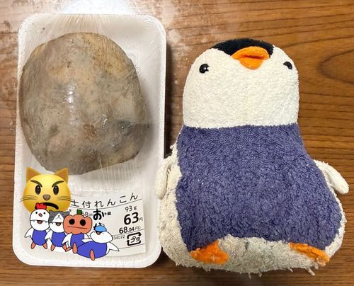 おいらとれんこんをならべてどうするつもり？