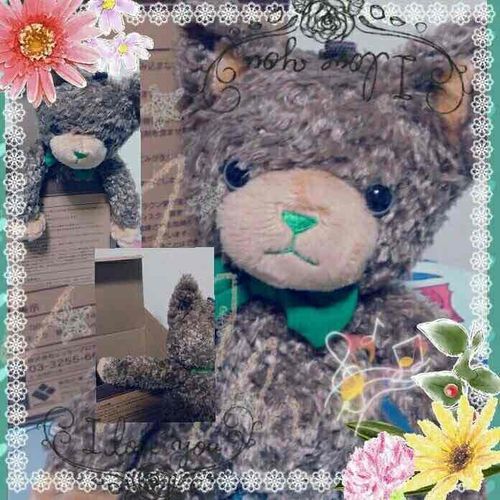 初めまして！お迎えしたよ。宜しくね。