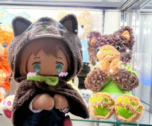 こうしきさんのらいむちゃんにあえてよかったね☺︎おそろいポンチョにあってるよ🎶