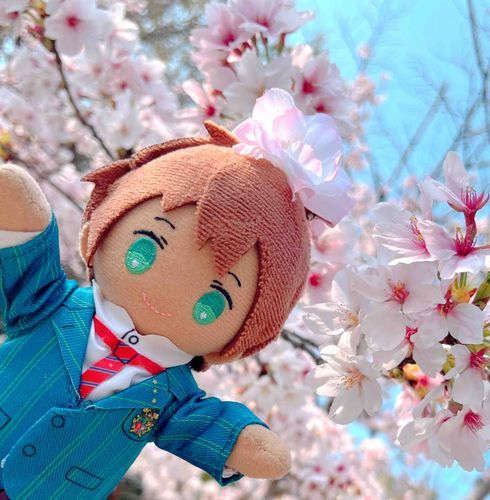 さくらのようせいさんみ〜つけた！