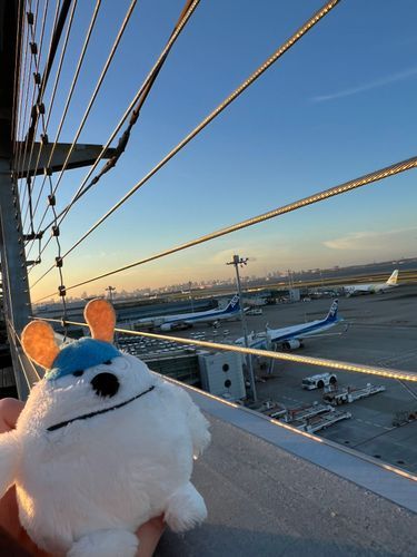 2025年夏
ばんぞくと羽田空港
