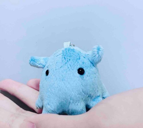 新入りのめんだこちゃん