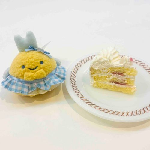 出遅れたしいちご🍓食べちゃったけど、新入りさん❣️
あじっぽちゃんの初ぬい❣️かわいい〜〜❣️