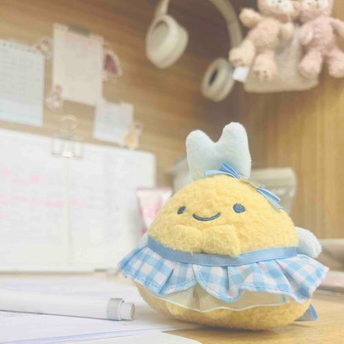 あと1週間、夢みるあじっぽちゃんと一緒にがんばるぞ〜✊🏻

後ろが自習室のかみさまたち❕✨🧸