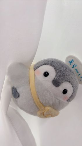 きみのためにカーテンにしがみつくぞぉ〜‪‪❤️‍🔥‪‪❤️‍🔥
あ〜風が吹くと
飛ばされる〜(˙o˙)(o:)(.o.)(:o)ｺﾛｺﾛ
