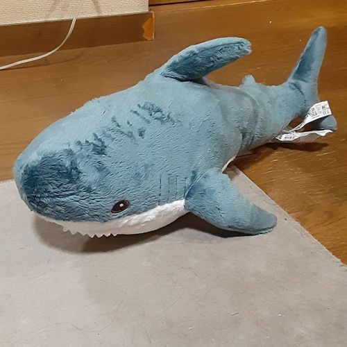 新入りのIKEAサメ🦈( '-' 🦈)ｻﾒｯﾃｨ