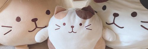 ミケランジェロとチャチャ丸
((꜆꜄ ˙꒳˙)꜆꜄꜆ﾈｺﾈｺﾈｺﾈｺﾈｺﾈｺﾈｺﾈｺﾈｺﾈｺﾈｺﾈｺﾈｺﾈｺﾈｺﾈｺﾈｺﾈｺﾈｺﾈｺﾈｺﾈｺﾈｺﾈｺﾈｺﾈｺﾈｺﾈｺﾈｺﾈｺ
オミたんとおチャチャ♡♡