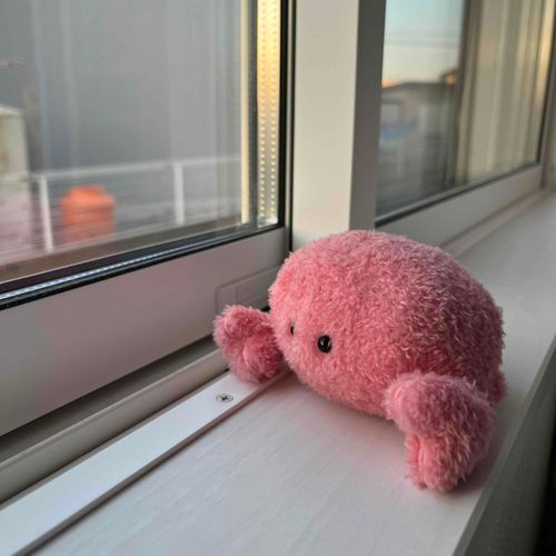 おはよう
さむすぎる