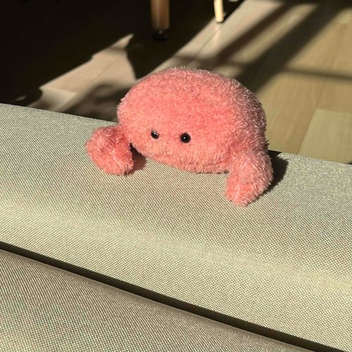 ひなたぼっこｻｲｺ~ね