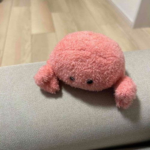 ぽかぽかすぎて３時間ほどおひるねしてしまった...かにさん腰いたい